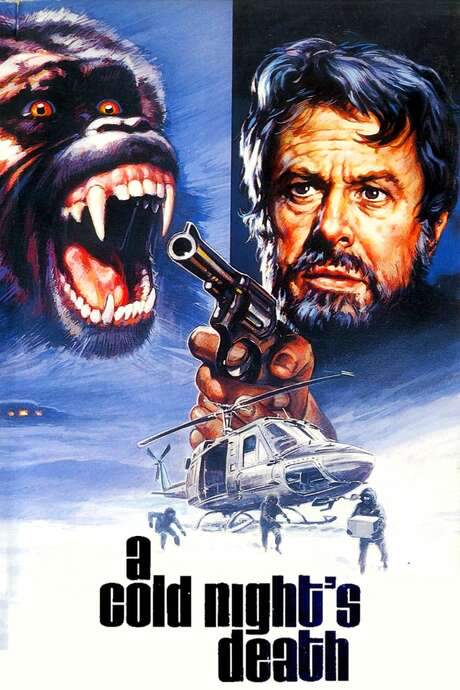 A Cold Night’s Death